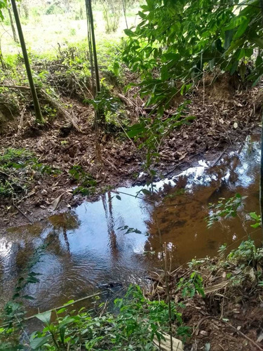 Imagem 9 de 14 de Juquiá/belo Terreno C/riacho/pasto/ref: 05033