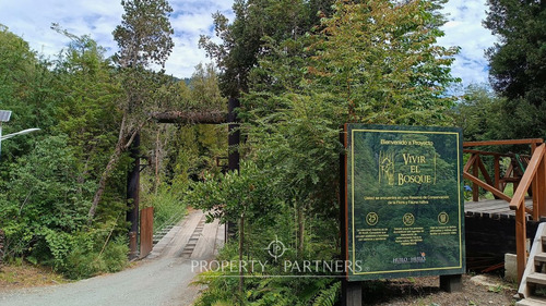 Lindo Terreno En Reserva Biológica Huilo Huilo