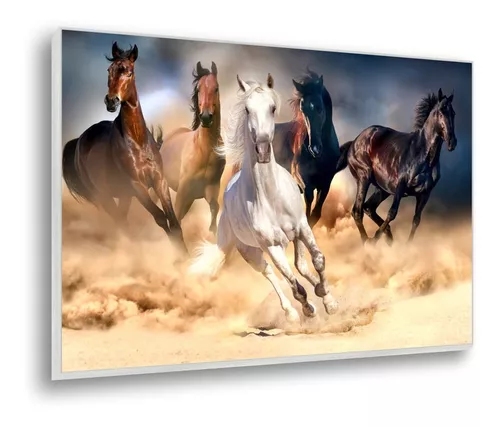 Quadro Cavalos Selvagens