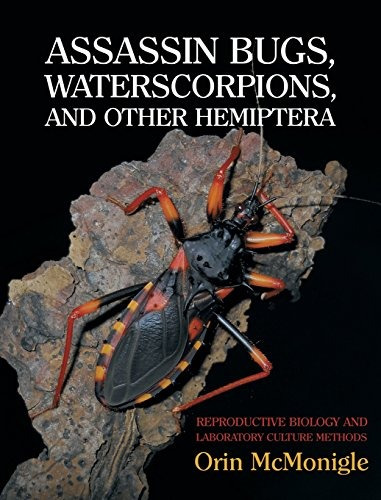 Assassin Bugs, Waterscorpions, And Other Hemiptera Reproduct