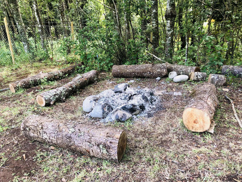 2 Casas Nuevas En Parcela, Piscina, Tinaja, Bosque Y Estero