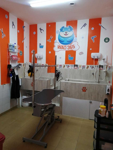 Imagen 6 de 7 de Peluquería Canina, Peluquería Para Perro