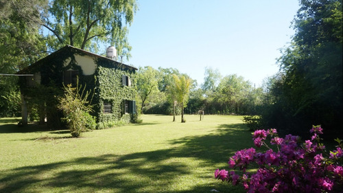 El Tosco - Alquiler Casa En Arroyo Esperita - Isla Delta Tigre - Cabaña