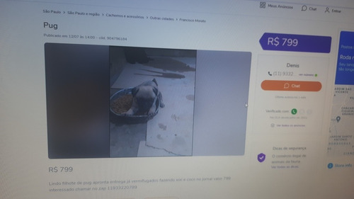 Imagem 3 de 3 de Cachorros