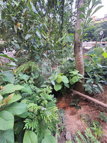 Imagem 4 de 15 de Terreno-são Paulo-campo Limpo | Ref.: Reo650663 - Reo650663