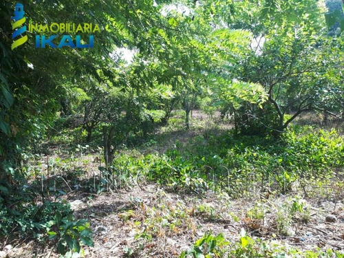 Imagen 4 de 8 de Terreno En Venta Juana Moza