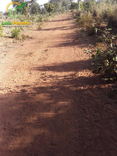 Imagem 13 de 14 de Fazenda À Venda Em São Valério - To - De 130 Alqueirões (dupla Aptidão) - 1791