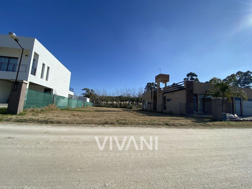 Imagen 5 de 14 de Venta Lote 176 E/ 48 Y 49 - Villa El Tala Berisso @vivanipro