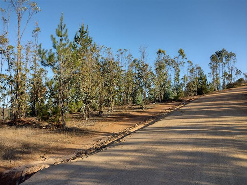 Gran Oportunidad Parcelas A Minutos De La Playa 5000m2 Rol