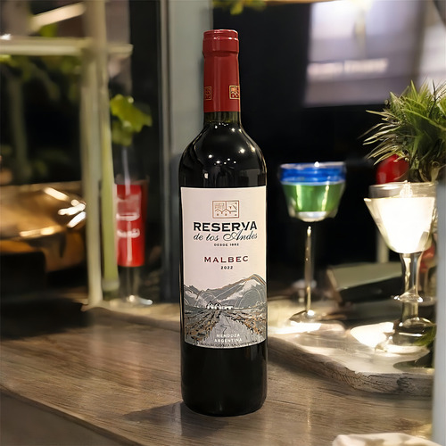Vinho Argentino Tinto Fino Seco Reserva De Los Andes Malbec