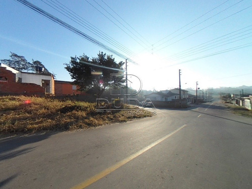 Imagem 3 de 6 de Terreno - Laranjinha - Ref: 34518 - V-34515