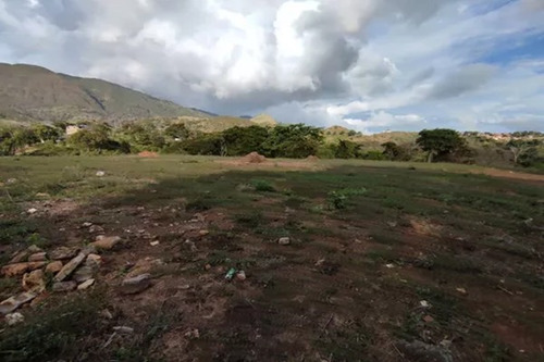 Terreno - La Rosa - 8.000 Mts2