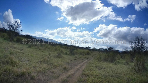 Imagen 8 de 30 de &&& Finca En Venta En Nirgua Yaracuy Rah 23-17575 // Invierta Seguro Con Rentahouse//
