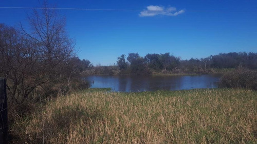 Imagen 6 de 10 de Campo En Venta En Ibicuy