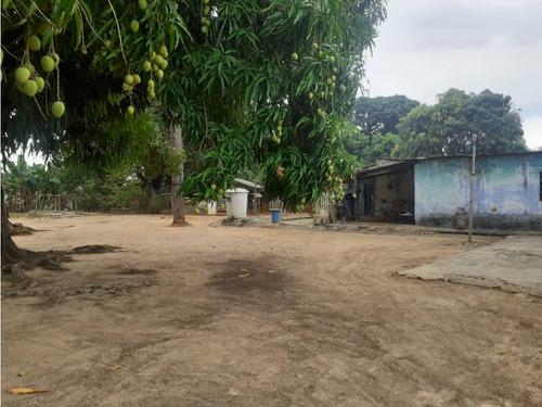 Parcela De Terreno En Mesa De Cavaca - Guanare Ve21-157mc-moli-ehil
