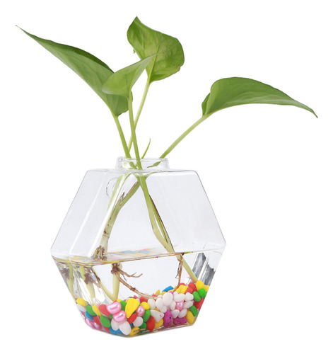 Plantas Colgantes Flores Florero Vidrio Acuario Hidropónico