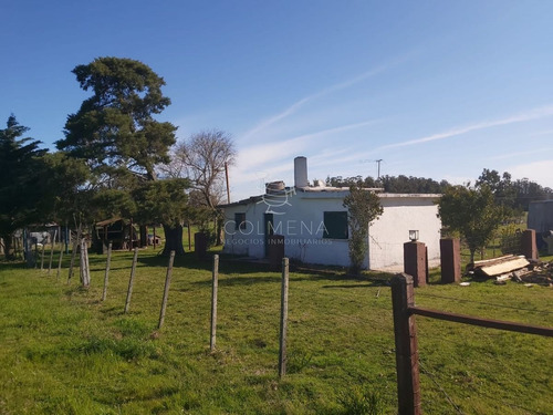 Imagen 14 de 19 de Venta Chacra Ruta 39 , 8 Has - Maldonado Ruta 39
