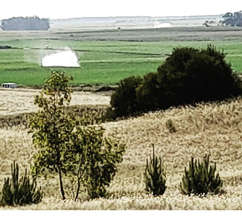 Terrenos En Venta - 944mts2 - Arenas Verdes, Lobería