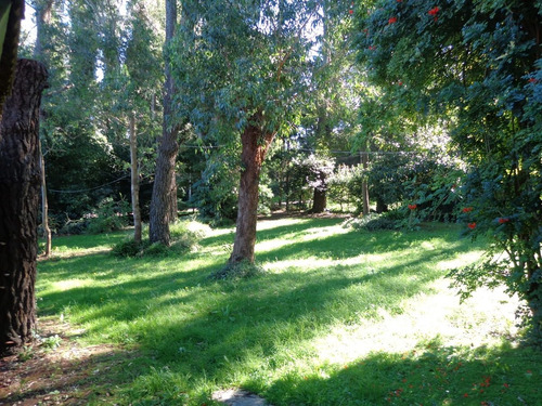 Casa - Chalet En Venta En Bosque Peralta Ramos