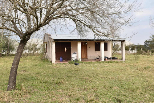 Imagen 13 de 16 de Campo De 49 Has. En La Criolla