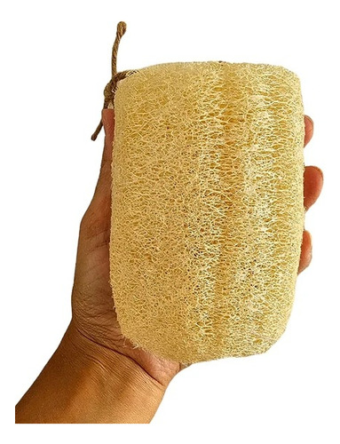 Esponja Vegetal De Luffa Ideal Para Ducha Cultivo Nacional