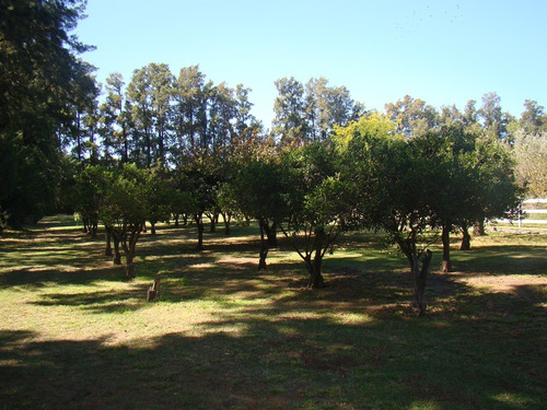 Imagen 4 de 5 de Lotes En Excelente Ubicacion En Chacras De Canning