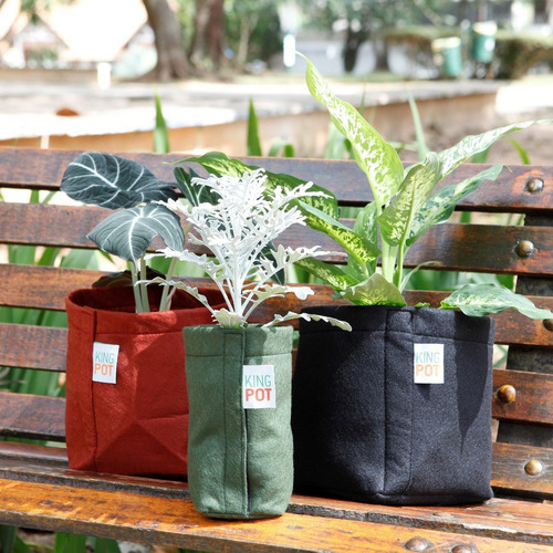 Vaso De Feltro 1 Litro King Pot Fácil Transplante Abre Fecha Cor Verde