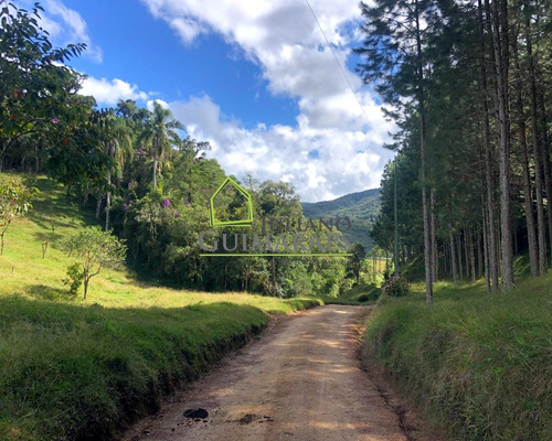Imagem 19 de 30 de Rancho Queimado Sc - Lindo Terreno Á Venda Com 3 Hectares Em Residencial Fechado - Te00048 - 70795800