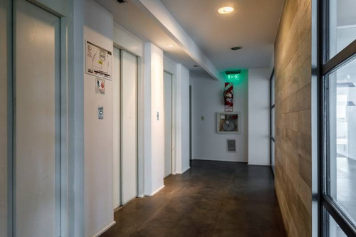 Imagen 3 de 30 de Oficinas Alquiler Palermo