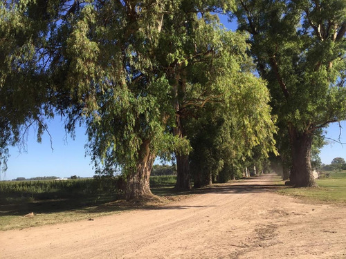 Imagen 6 de 19 de Venta Lote Villa De Campo Tres Pinos Barrio Estribo Gral Rodriguez