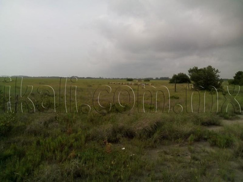 Imagen 1 de 6 de Terreno Industrial En Venta La Calzada
