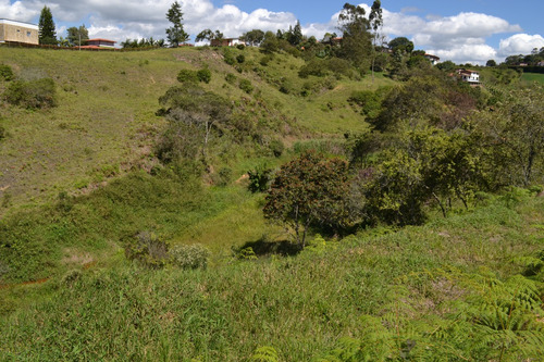 Lotes En Venta Guarne Cerca A La Autopista Medellin - Bogotà Desde 240 Millones
