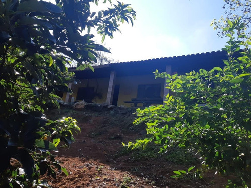 Imagem 3 de 15 de Sítio Para Venda Em Ibiúna, Ibiúna, 2 Dormitórios, 1 Banheiro - 313_2-1181798