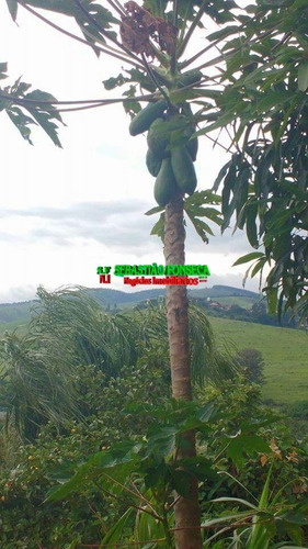 Imagem 2 de 11 de Chácara Dois Dormitórios, Lado Represa, A Venda Em Paraibuna - 899