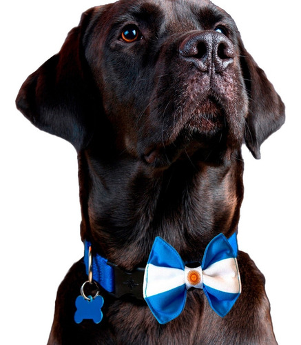 Imagen 3 de 3 de Moños Corbatas Ropa Para Perros Argentina Y Varios Modelos