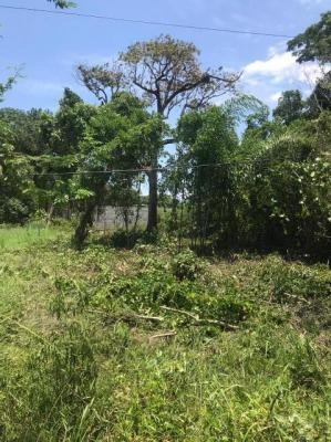 Imagem 4 de 7 de Terreno Em Itanhaém À Venda, 192 M² - 7470 Lc