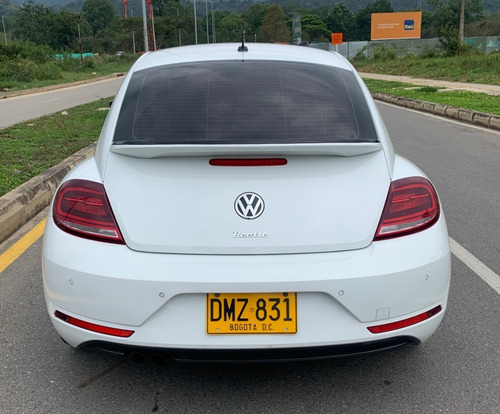 Beetle