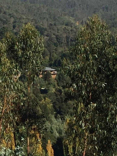 En Nonguén A Pasos De La Reserva Últimas Parcelas