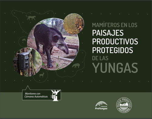 Imagen 4 de 6 de Promo Ediciones Del Subtrópico