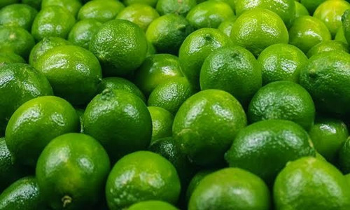 100 Semillas De Limon Persa