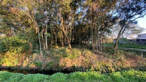 Imagem 4 de 7 de Terreno De Esquina Com 290m² Em Itanhaém Litoral Sul De Sp