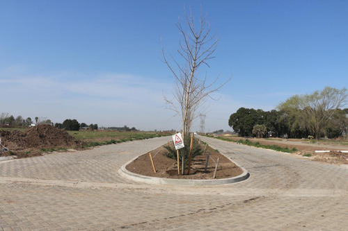 Imagen 12 de 28 de Ecotierra Sur - 300 M2