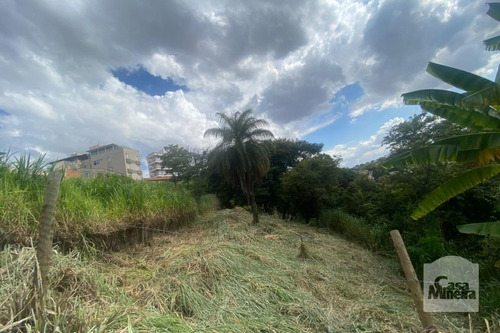 Imagem 1 de 13 de Lote À Venda No Alto Caiçaras - Código 276550 - 276550