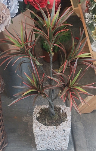 Planta Dracaena Colorama Artificial, Con Base De Piedras.