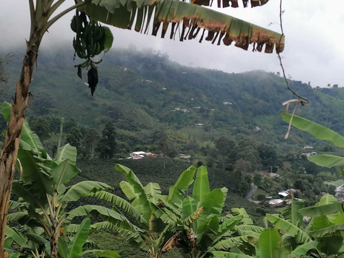 Venta Finca Cordoba Quindio Cod: 3568783