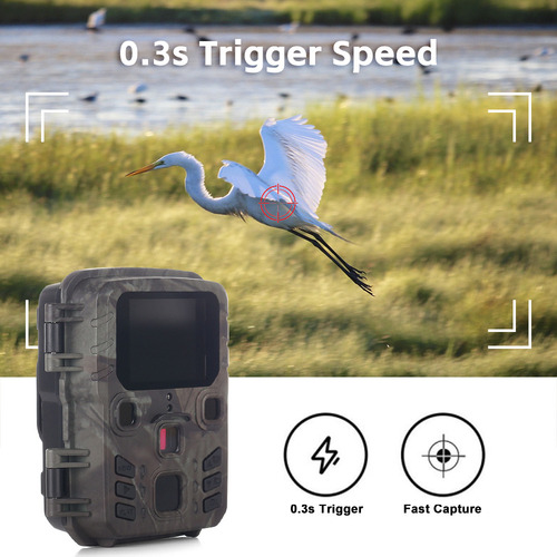 Câmera De Vídeo Speed Hunting Trail Wildlife Ativada