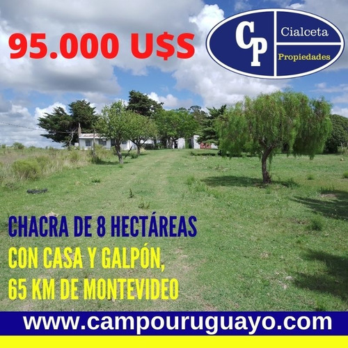 Chacra De 8 Hectáreas Y Media A 65 Km De Montevideo