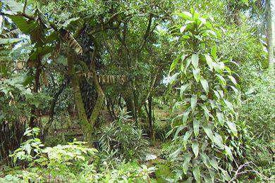 Imagem 21 de 30 de Casa Em Santana De Parnaíba Bairro Parque Vila Rica - V16000