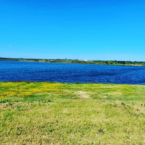 Imagen 10 de 30 de Terreno - Amarras