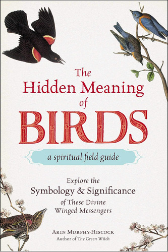 Libro El Significado Oculto De Las Aves: Un Campo Espiritual